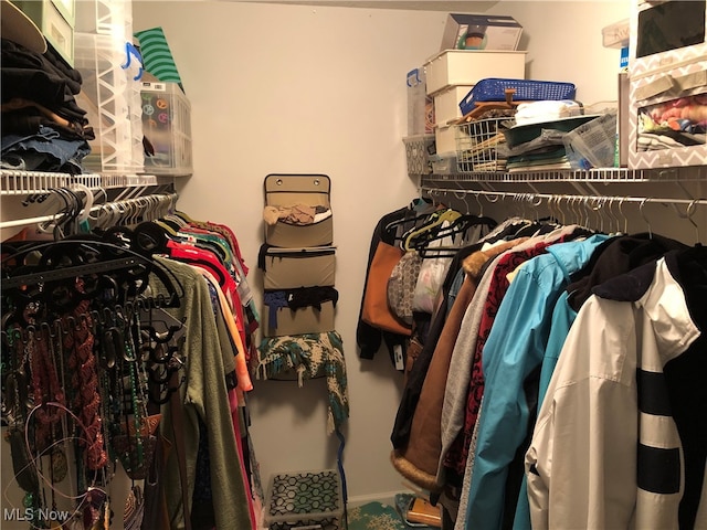 view of spacious closet