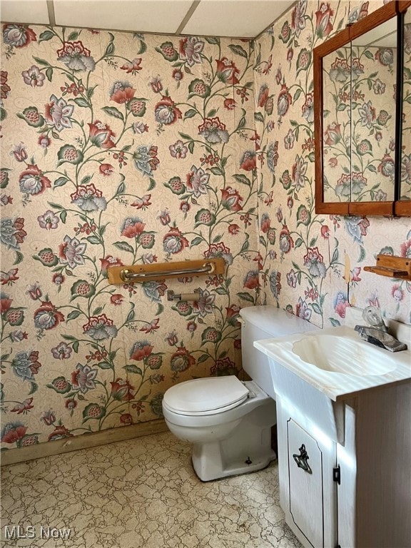 bathroom with toilet and vanity