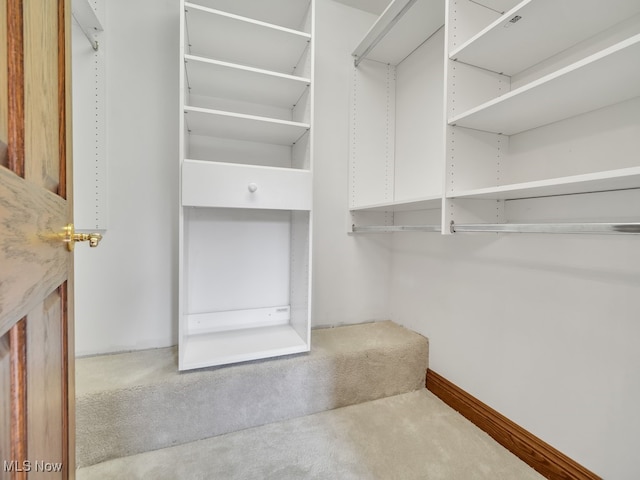 spacious closet featuring carpet