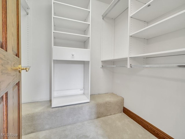 view of spacious closet