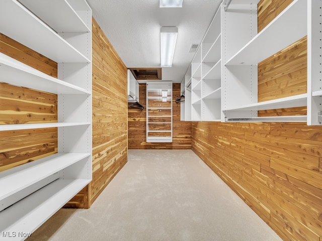 spacious closet with light carpet