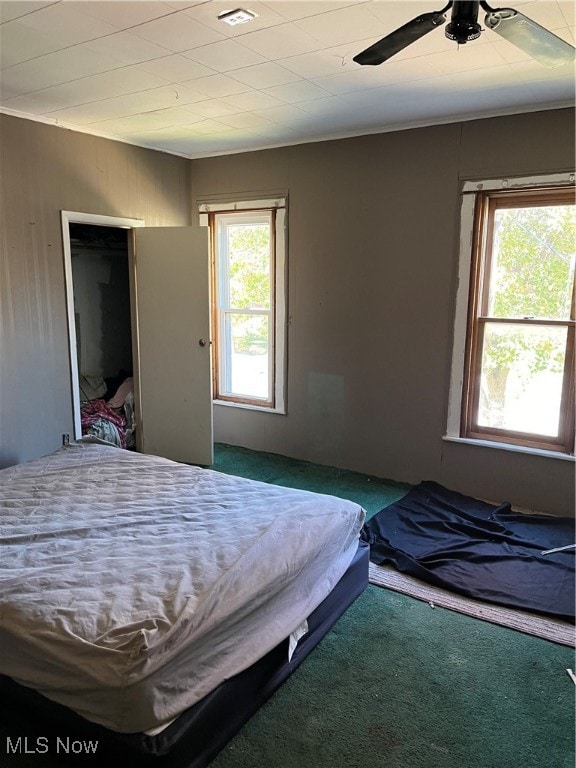 carpeted bedroom with a closet, multiple windows, and ceiling fan