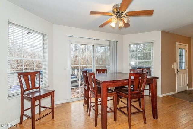 dining space with ceiling fan and light wood-type flooring