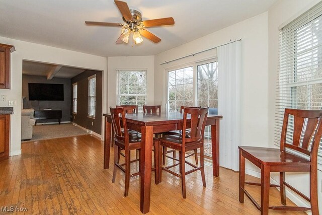 dining room with ceiling fan and light wood-type flooring