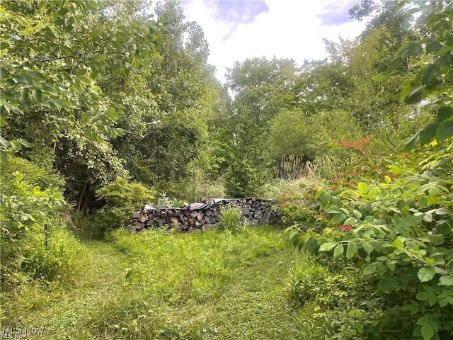 Shurmer Rd, Strongsville OH, 44136 land for sale