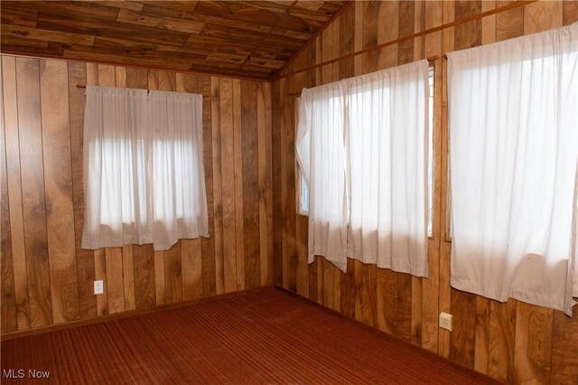 empty room with wood walls, vaulted ceiling, hardwood / wood-style flooring, and a healthy amount of sunlight