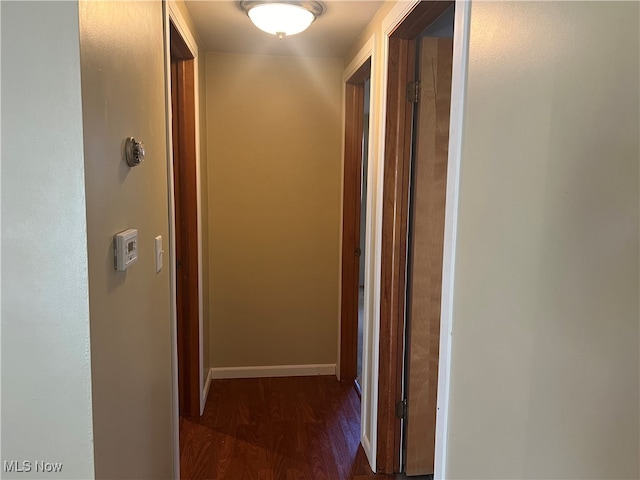 hallway featuring dark wood-type flooring