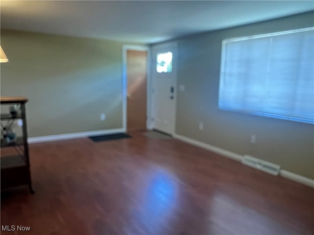 entryway with wood-type flooring