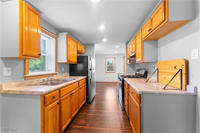 kitchen with appliances with stainless steel finishes, dark hardwood / wood-style floors, and sink