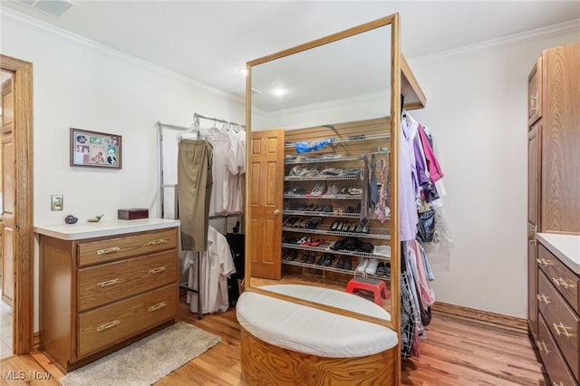 spacious closet with light wood-type flooring