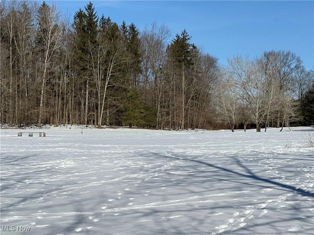 view of yard layered in snow