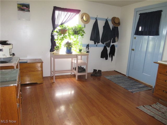 foyer featuring wood-type flooring