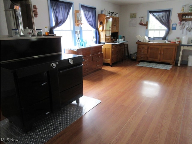 interior space with light hardwood / wood-style floors