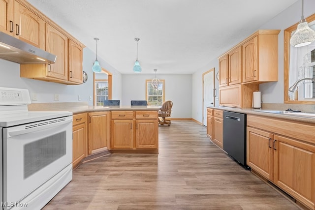 kitchen featuring stainless steel dishwasher, pendant lighting, light hardwood / wood-style flooring, and white electric stove