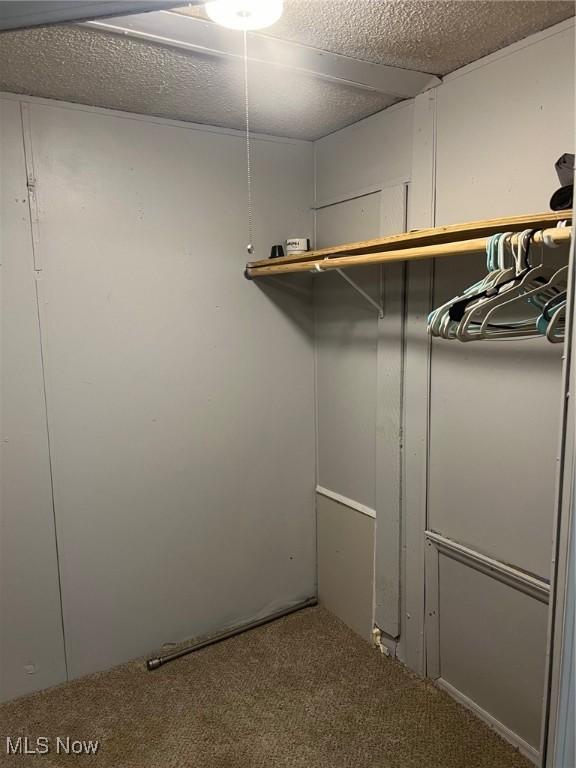 spacious closet with carpet floors