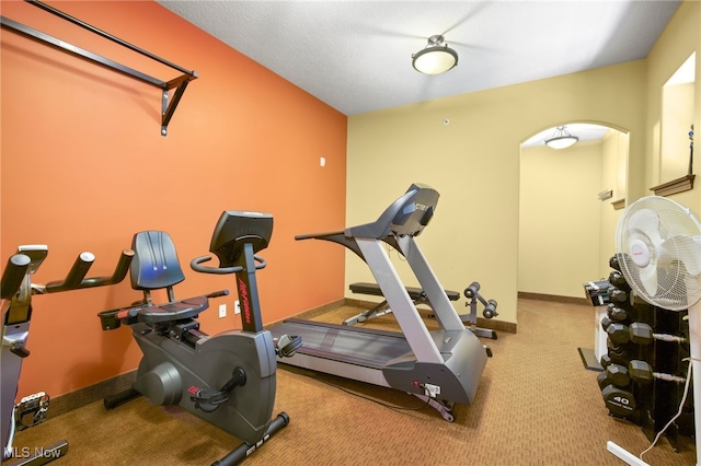 exercise room featuring carpet flooring