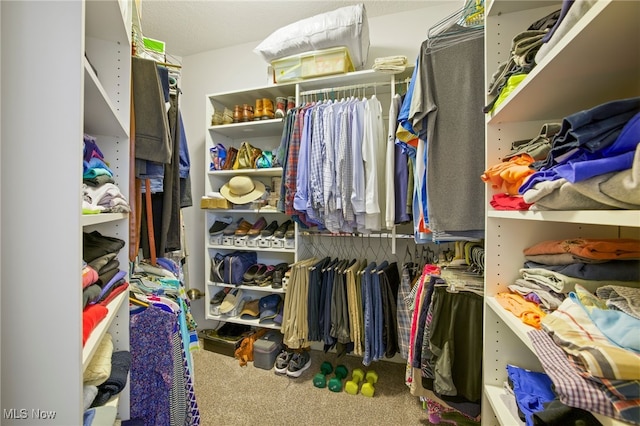 spacious closet featuring carpet