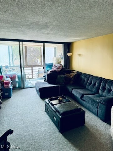 carpeted living room featuring a textured ceiling