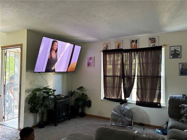 living room featuring a textured ceiling, carpet flooring, and a wood stove