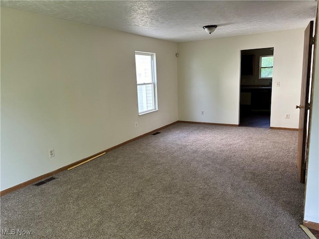 carpeted spare room featuring a wealth of natural light, visible vents, and a textured ceiling