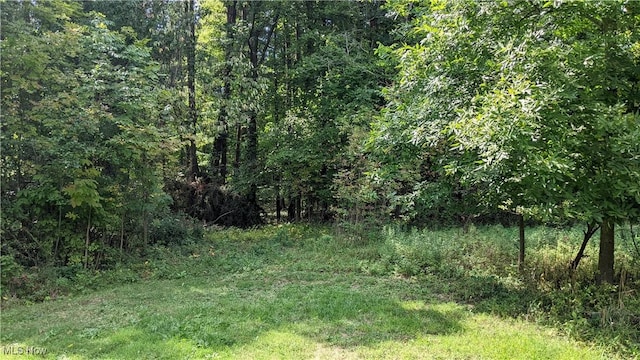 9376 Daniels Rd, Seville, OH 44273 - photo 21