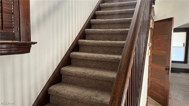 stairway featuring carpet floors