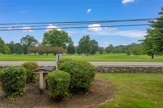 view of home's community featuring a yard