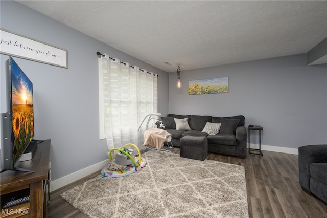 living room featuring hardwood / wood-style flooring and a textured ceiling