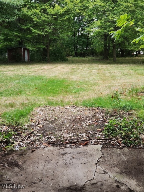 view of yard with a storage unit