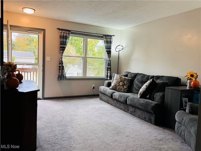 living room with carpet and a textured ceiling