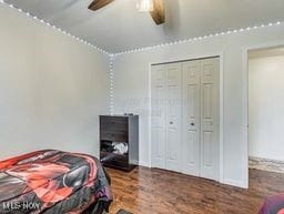 bedroom with wood-type flooring, a closet, and ceiling fan