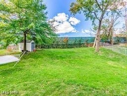 view of yard featuring a shed