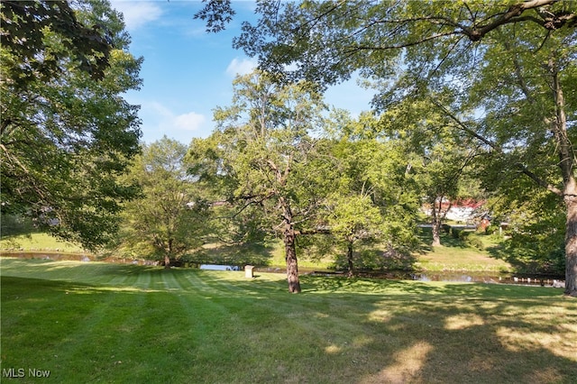 view of yard featuring a water view