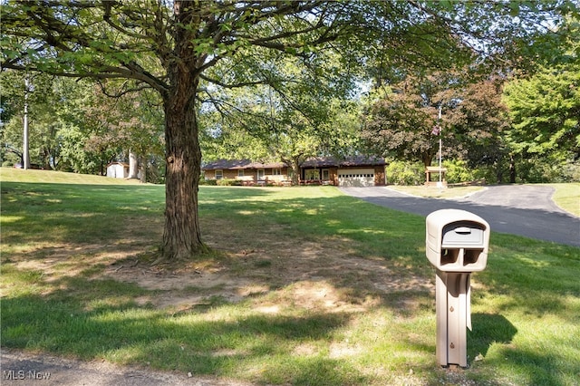 view of front of home featuring a front yard