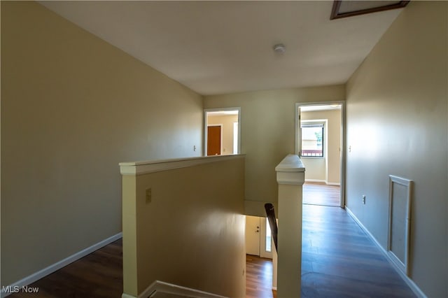 hallway with hardwood / wood-style floors