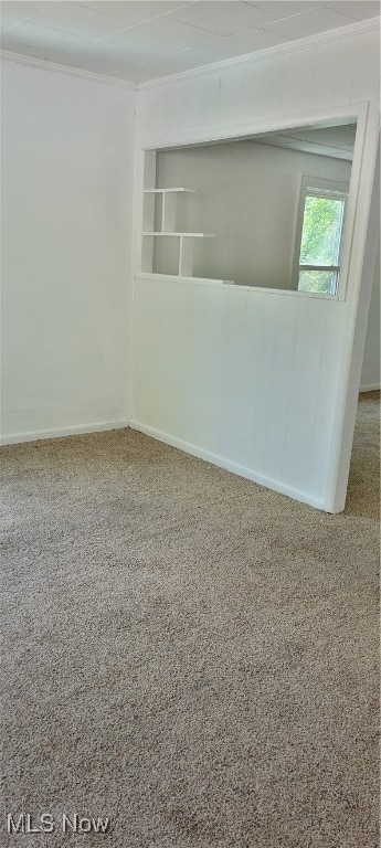 unfurnished room with ornamental molding and carpet floors