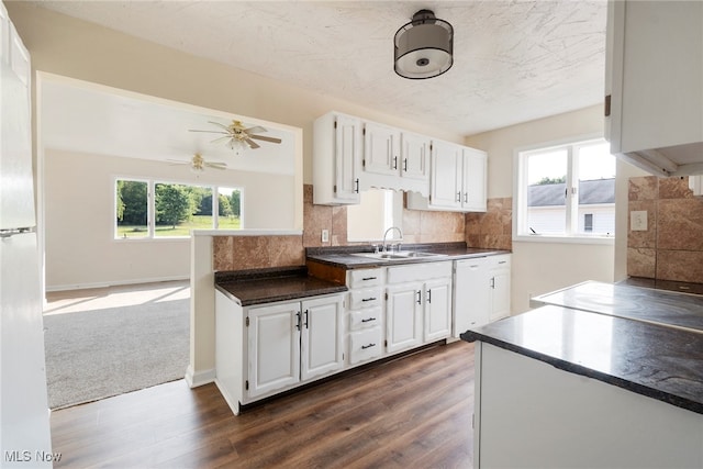 kitchen featuring ceiling fan, dark hardwood / wood-style floors, sink, and a healthy amount of sunlight