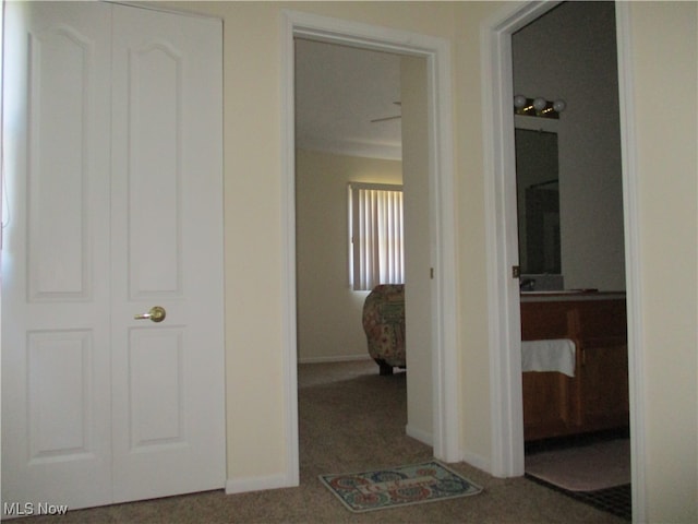 hallway featuring carpet flooring