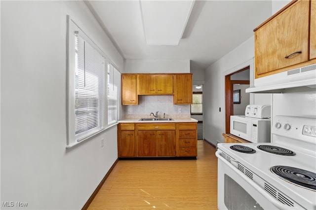 kitchen featuring light wood-type flooring, white appliances, a wealth of natural light, and sink