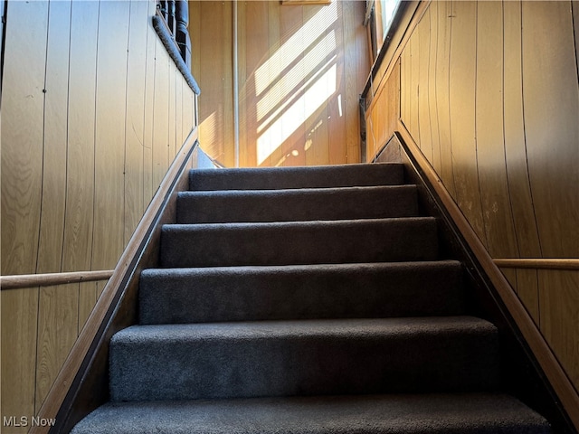 staircase with wood walls