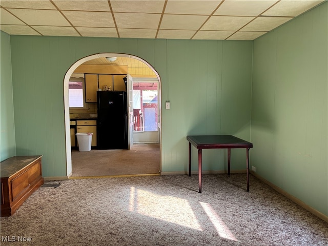 spare room featuring a wealth of natural light, a paneled ceiling, and carpet