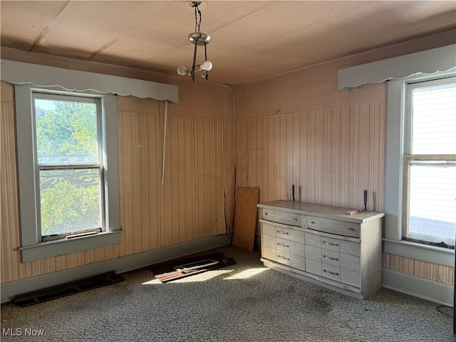 interior space with carpet and multiple windows