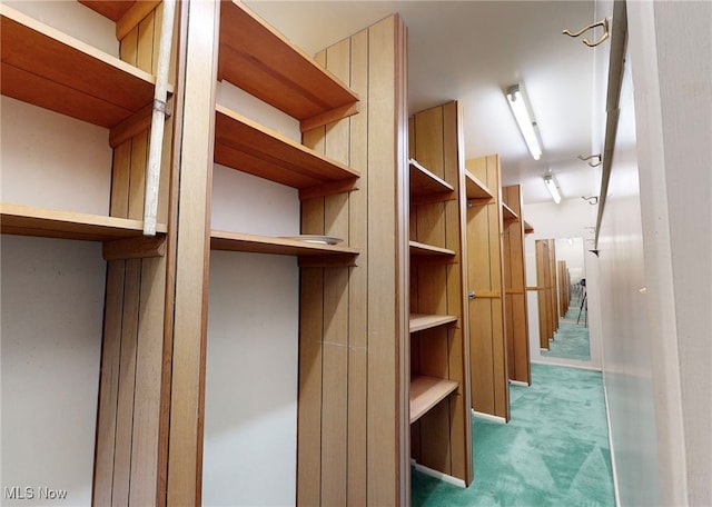 walk in closet featuring carpet flooring