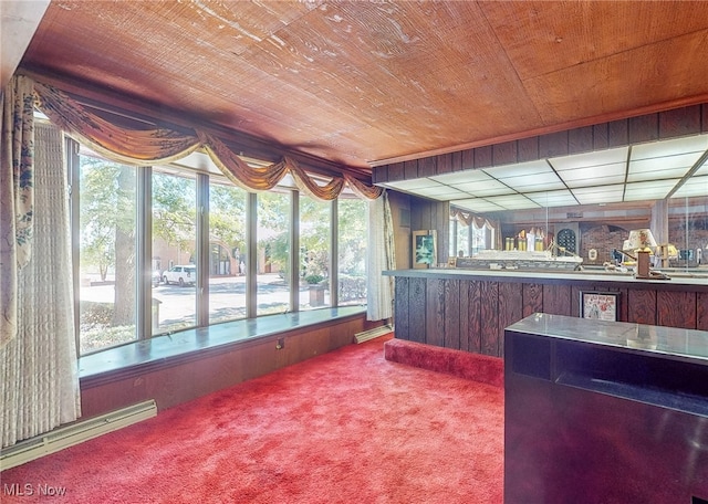 interior space with wood ceiling, a baseboard radiator, carpet floors, and wooden walls