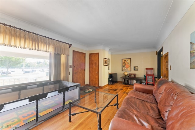 living room featuring hardwood / wood-style floors and ornamental molding