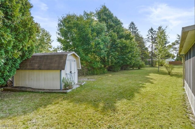 view of yard with a storage shed