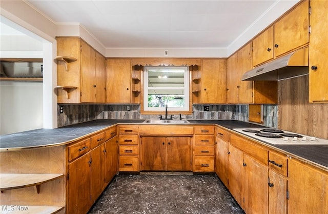 kitchen featuring decorative backsplash, under cabinet range hood, a sink, and open shelves