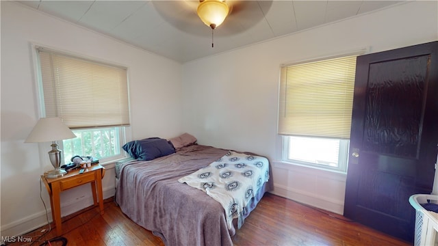 bedroom featuring dark hardwood / wood-style flooring, ceiling fan, and multiple windows