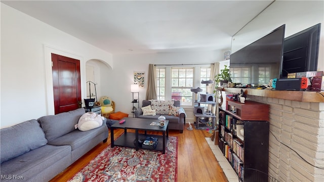 living room with wood-type flooring