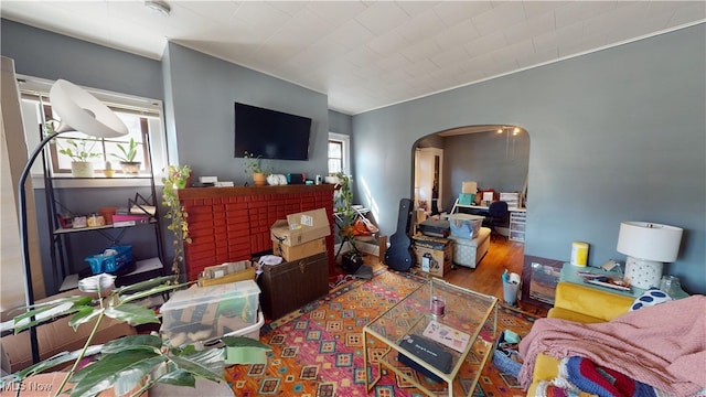 living room featuring hardwood / wood-style flooring and a healthy amount of sunlight